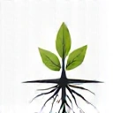 Icon representing sustainable results
